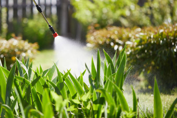 24/7 Emergency Wasp Removal experts in Durand, WI
